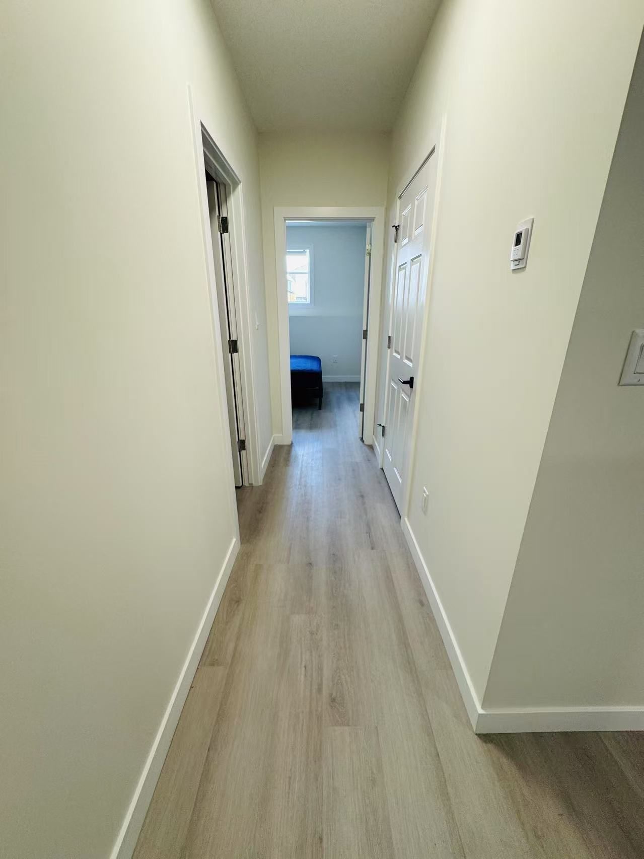 Rosewood全新两室一厅一卫半地下室出租 - 7