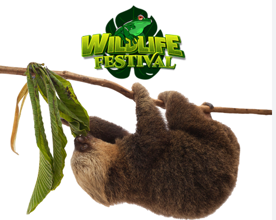 【4月25-27日】野生动物节（The WildlifeFestival）