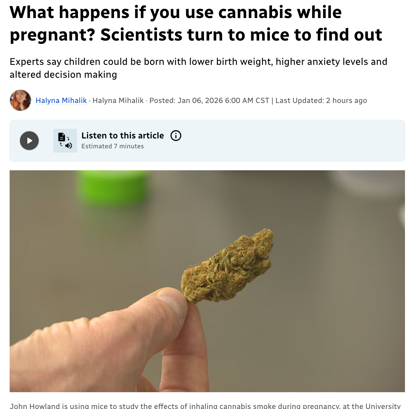 孕期使用大麻会发生什么?科学家转向小鼠实验寻找答案