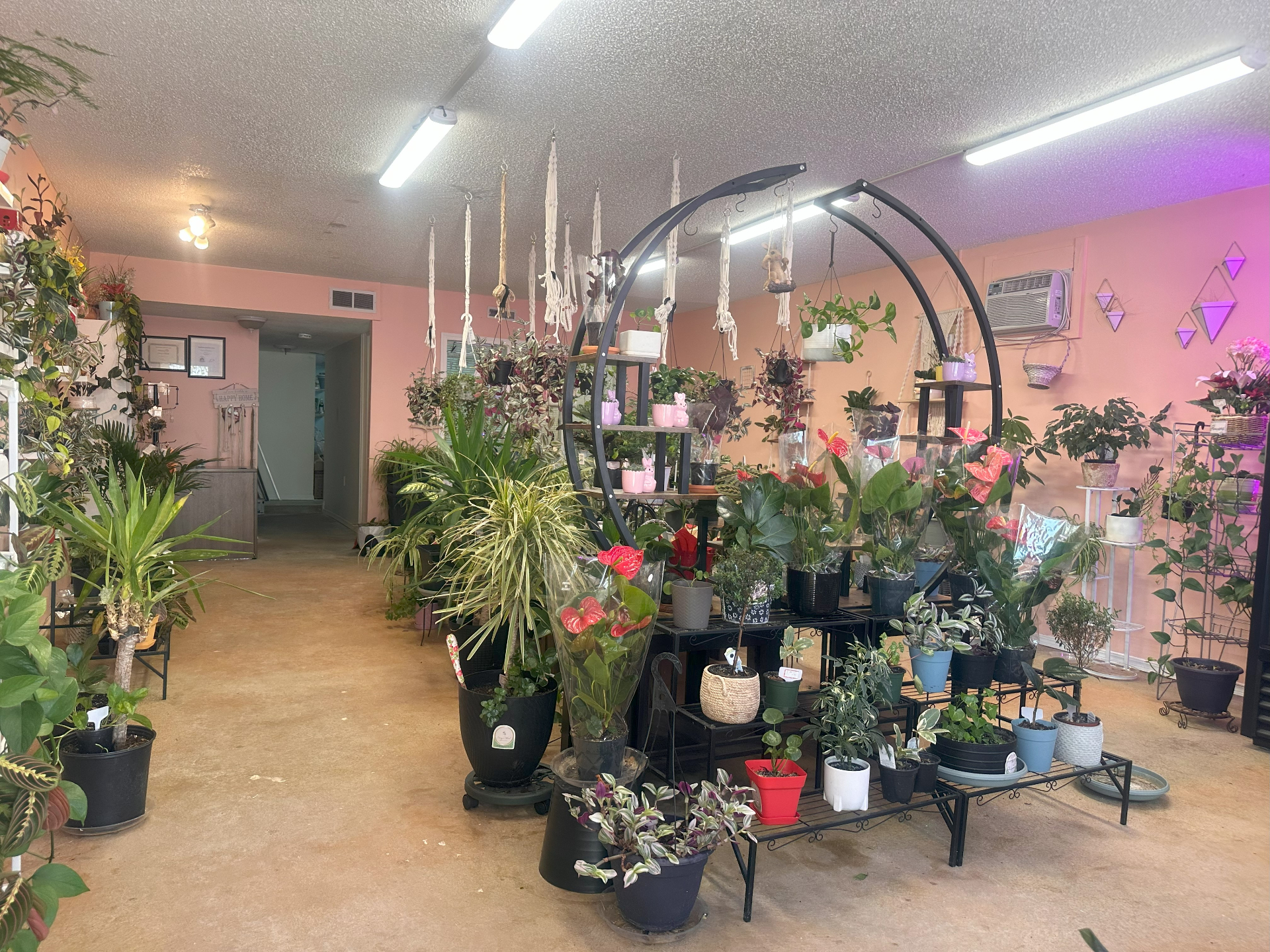 萨斯卡通仅30公里·商业物业出售！——林与唐地产 - 2