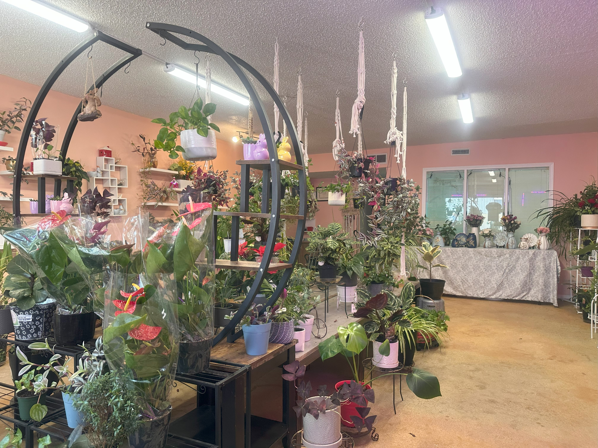 萨斯卡通仅30公里·商业物业出售！——林与唐地产 - 3