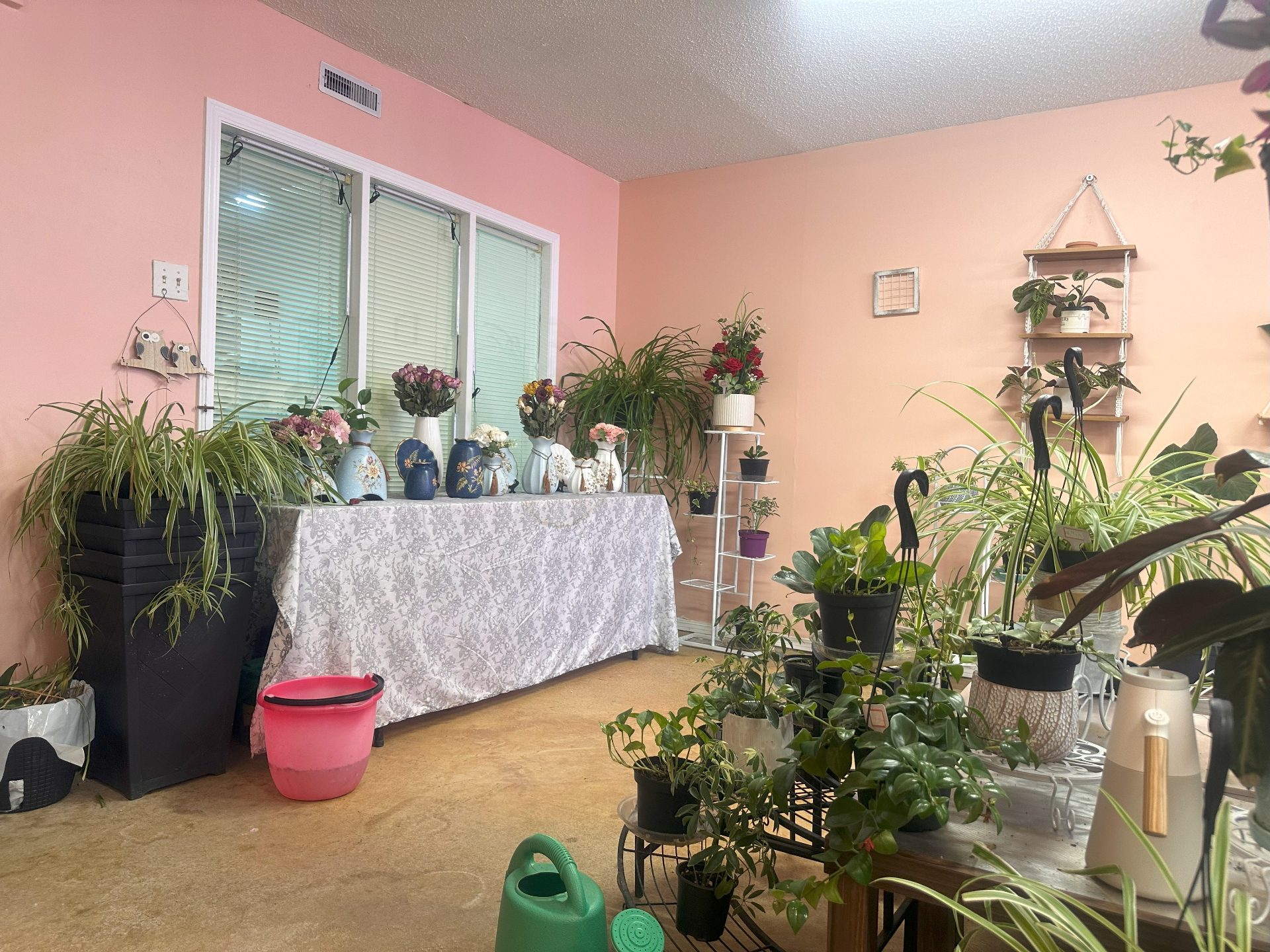 萨斯卡通仅30公里·商业物业出售！——林与唐地产 - 5