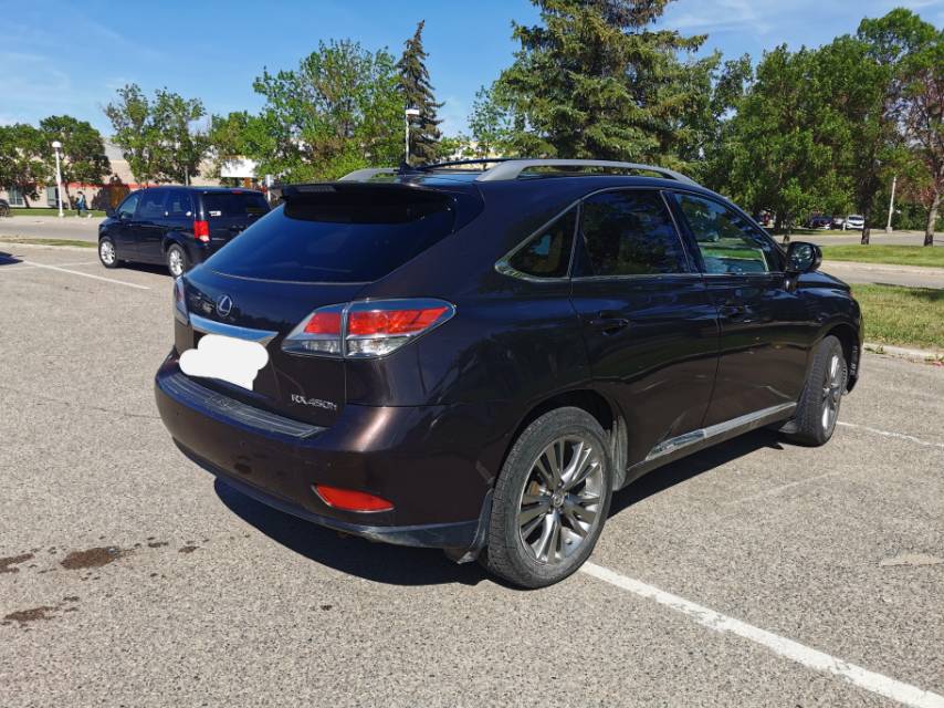 有4S店检测报告的2013LexusRX - 2