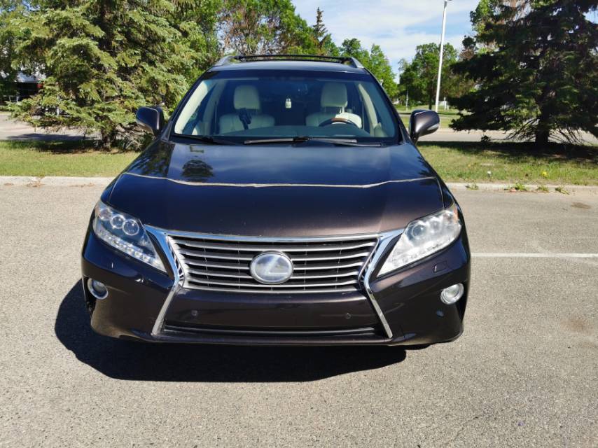 有4S店检测报告的2013LexusRX - 3
