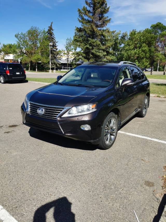 有4S店检测报告的2013LexusRX